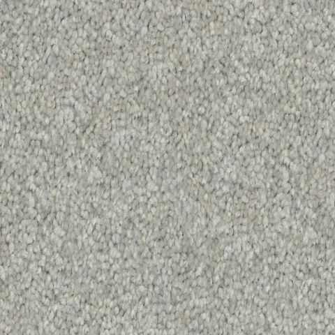 Light Grey carpet swatch